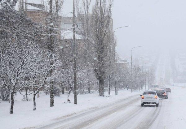    Фото Е.Врублевской Валерия Стальная