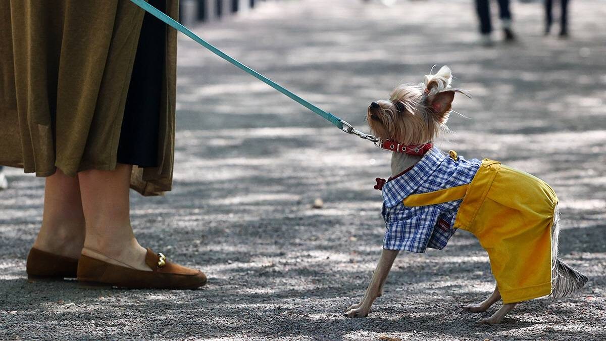    Фото: Ярослав Чингаев / АГН Москва