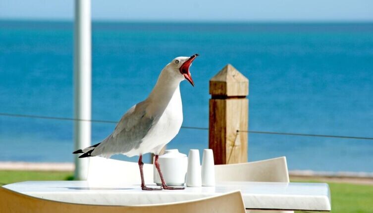    Дед Мороз и квартирный вопрос. Что кому подарить? Фото: по лицензии CC0 Pxhere.com