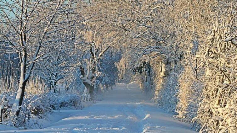    Спасти или быть спасённой? Фото: по лицензии pixabay.com