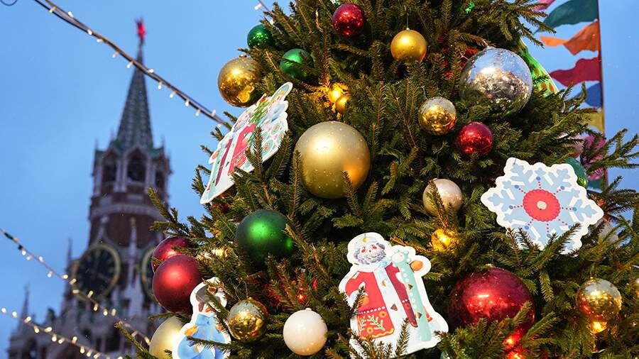    Фото: ИЗВЕСТИЯ/Дмитрий Коротаев