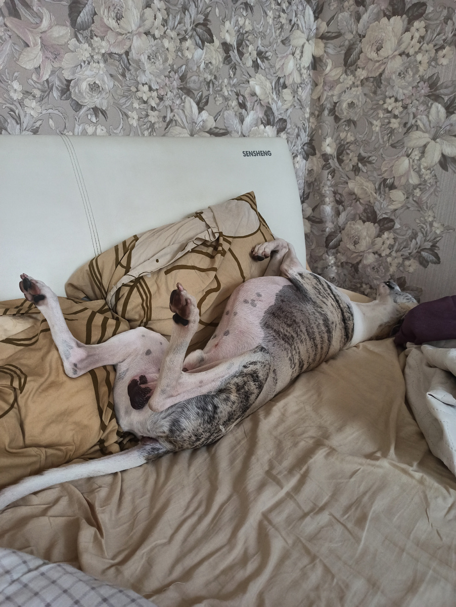 Это итог,процесс- на видео ниже)