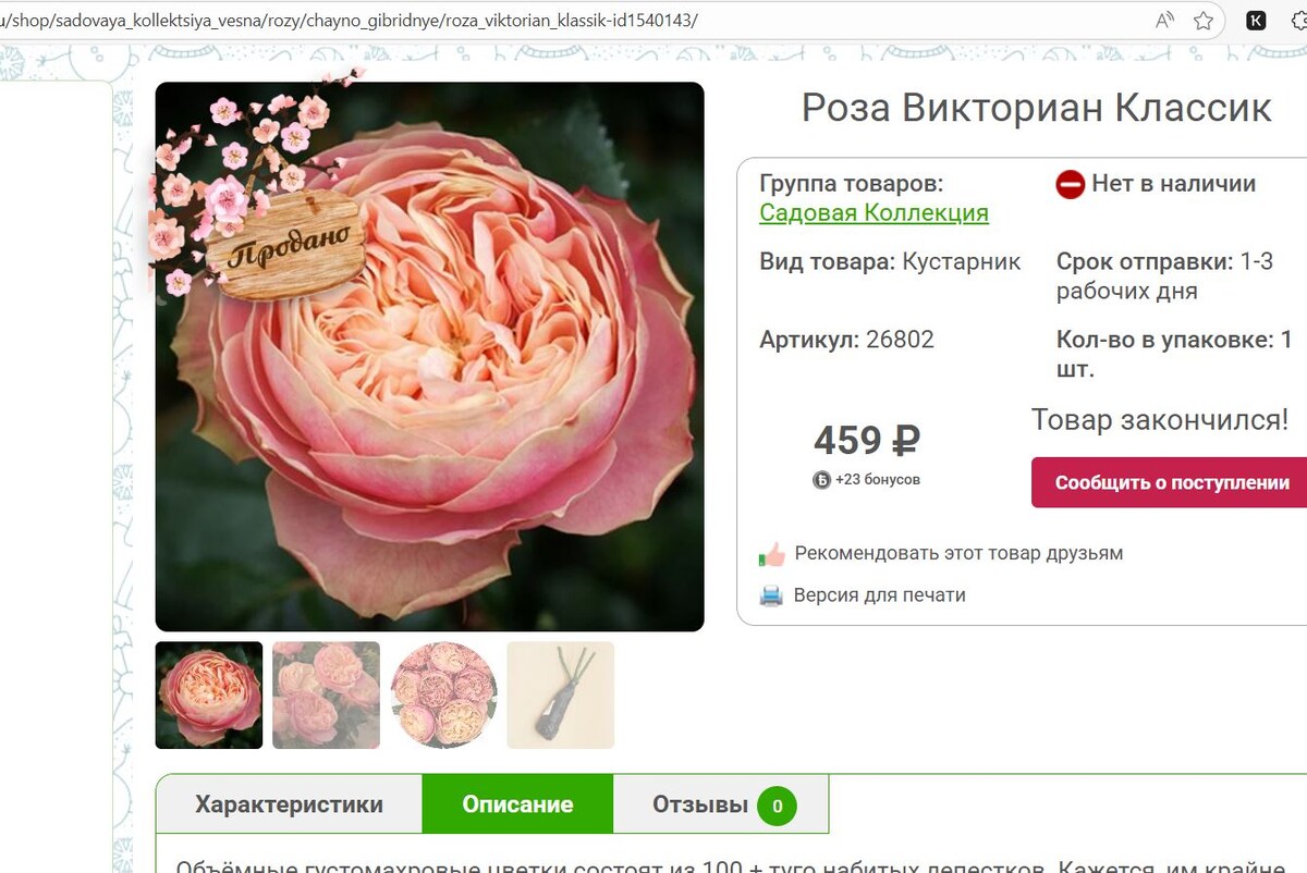 Страница розы Викториан Классик на сайте Русского Огорода