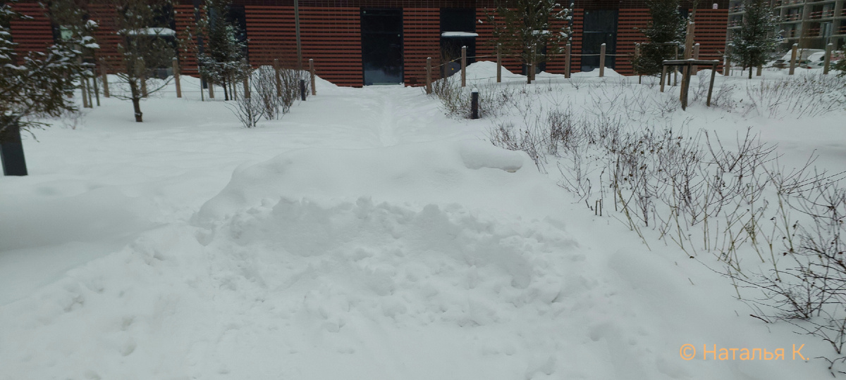 Фото автора канала. Дорожка к дому.