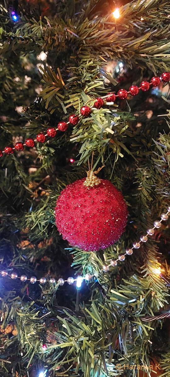 Фото автора канала