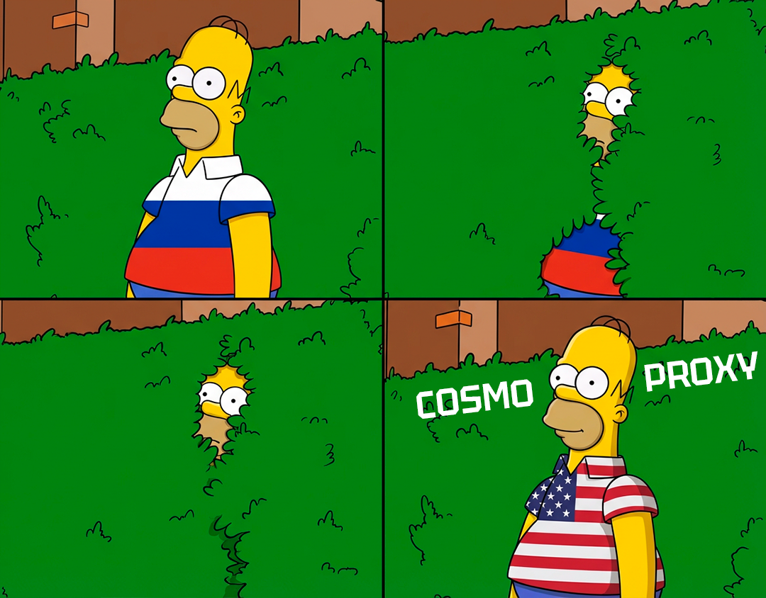 Гомер знает что использовать