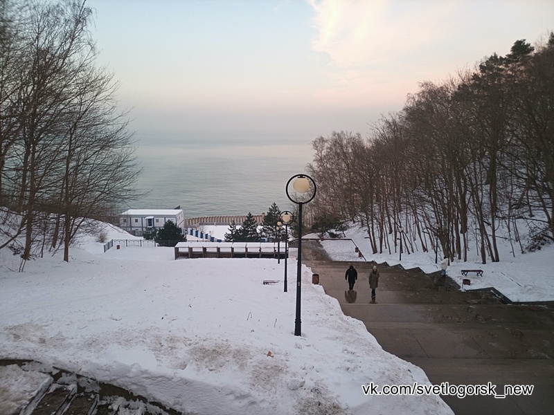 Светлогорск, центральная лестница к морю, 13.01.2026
