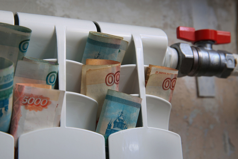    Фото: alleks19760526/shutterstock