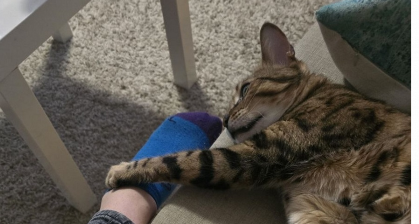    Фото Анастасии Дмитриевой