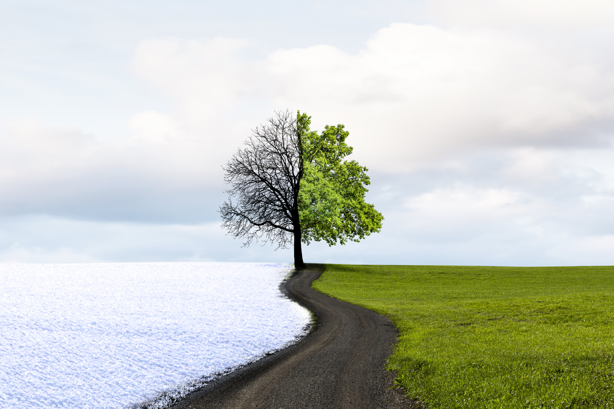     Аномалии станут чаще и сильнее: чего ждать от погоды в 2026 году