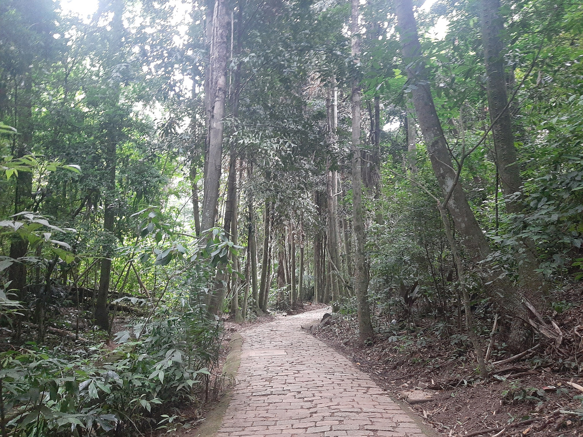 Кампинас. Парковые места.