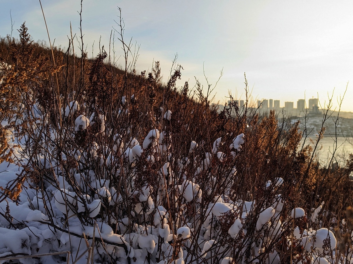 После снегопада. 