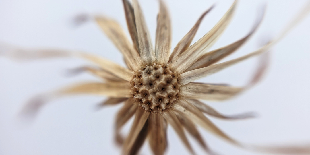 Зимние сны Крестовой сопки