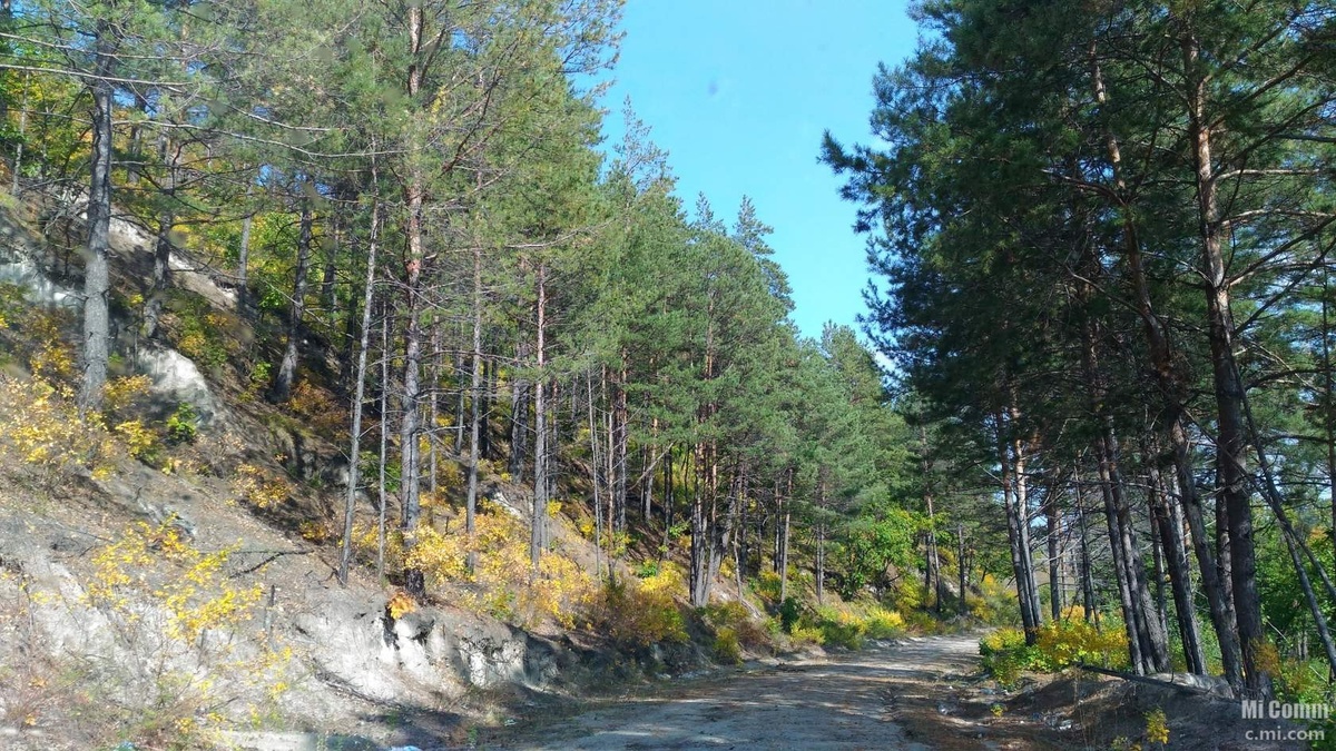 1. Дорога на прииск Дамбуки