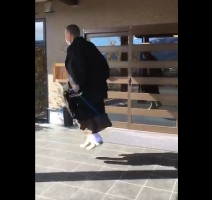 Кстати, они все в отличной форме (тренируют их там что ли)