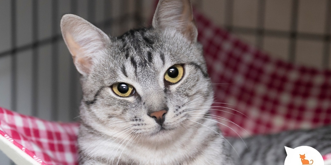 Праздник, который всегда с тобой