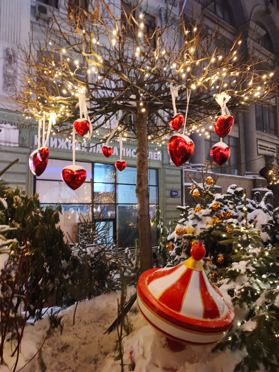 Личное фото автора 