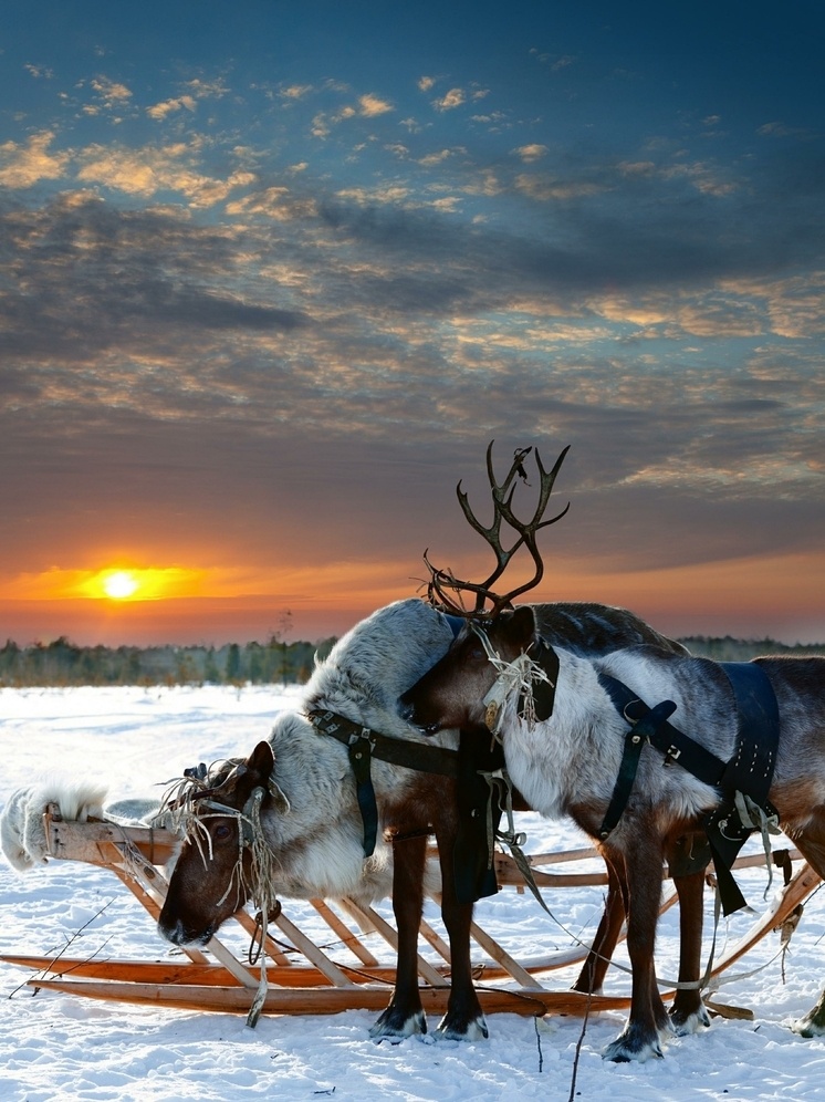     ФОТО: @Vladimir Melnikov/Russian Look