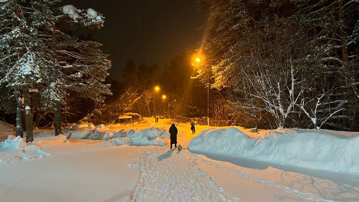 Территория школы 🏫 