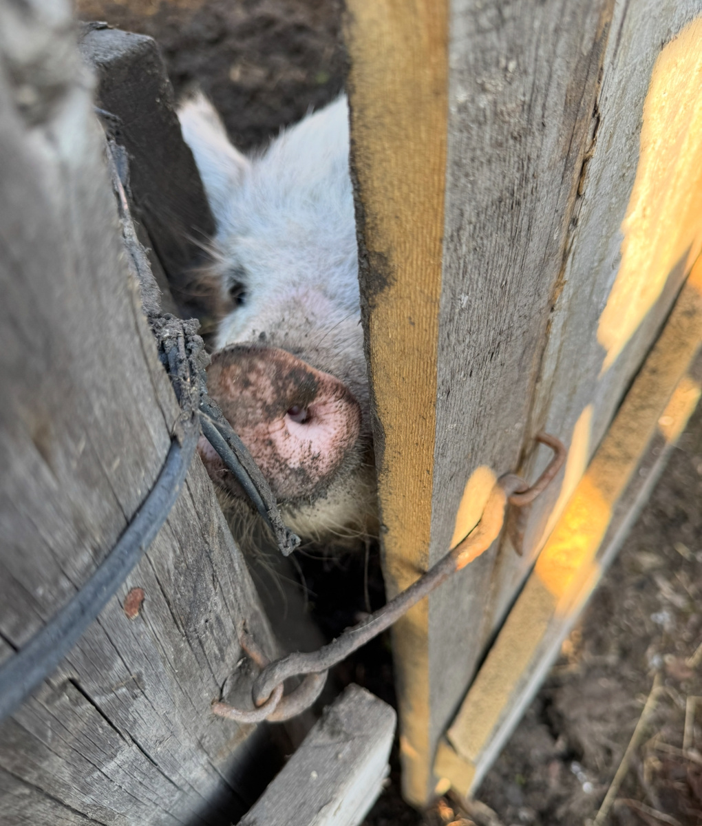 Фото для иллюстрации.