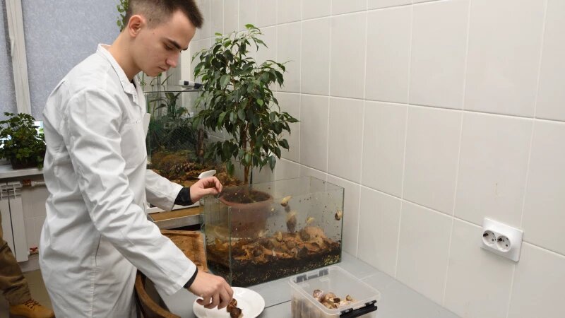     Ученый АлтГТУ. Наука. Лаборатория Пресс-служба АлтГТУ