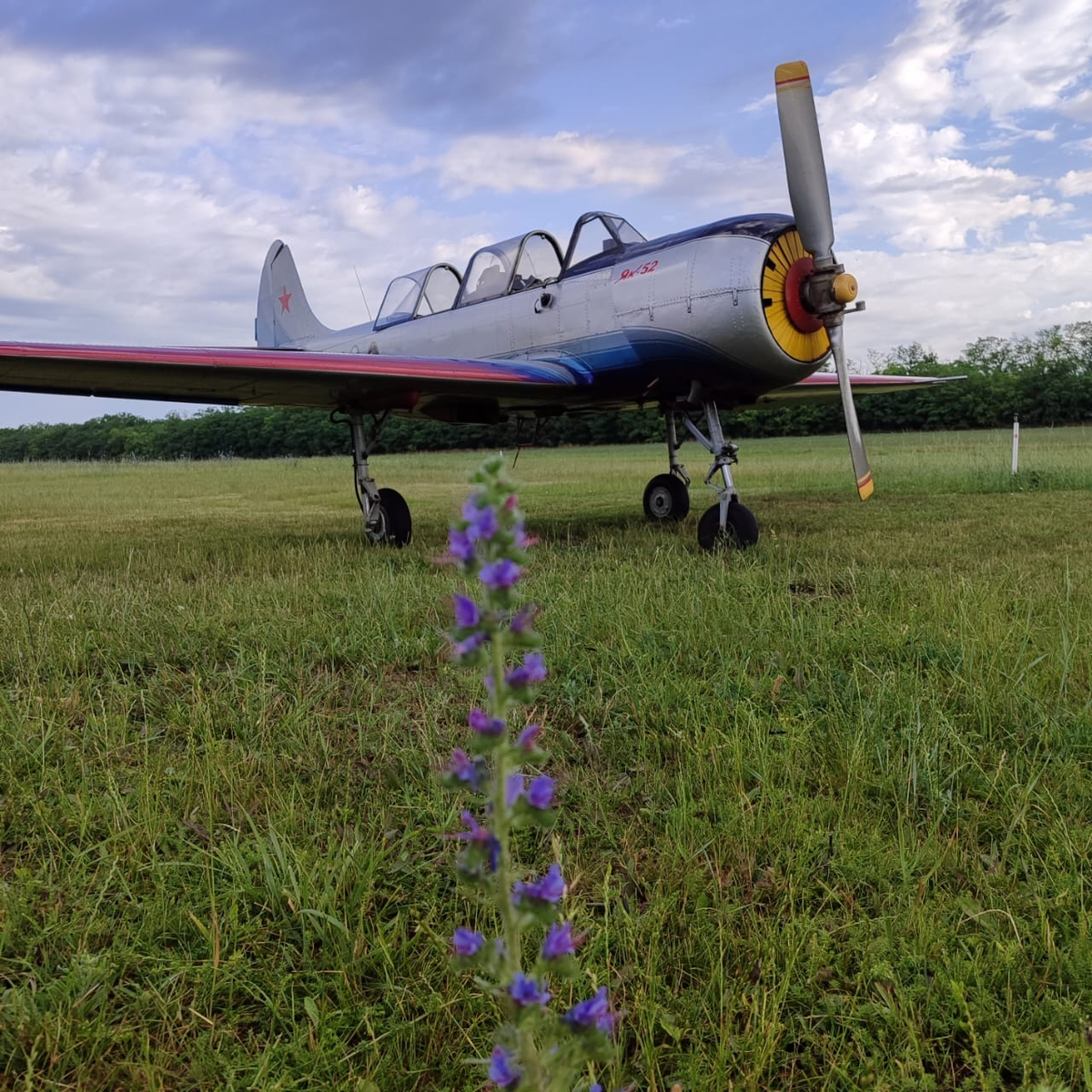 Фото из Яндекса. Спасибо автору. 