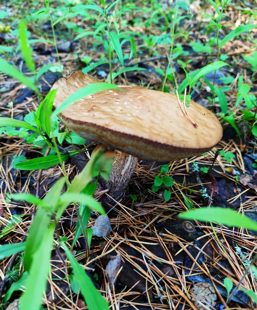 серия фото автора