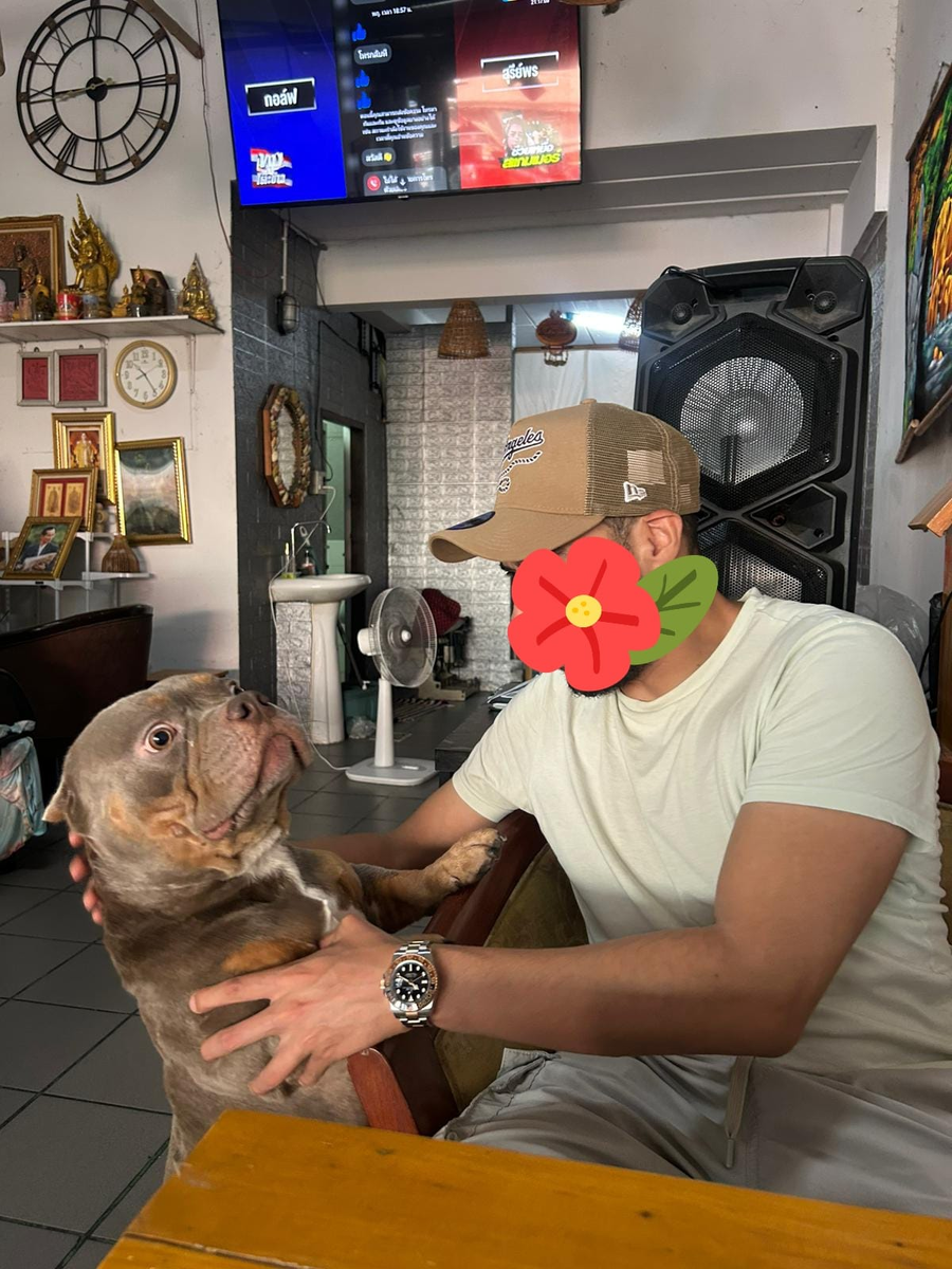 Народная примета: не все, кто любит собак - хорошие люди. 