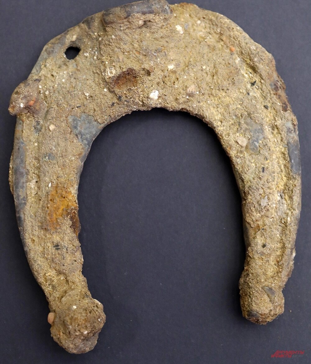    Также археологам удалось обнаружить подкову XIX века и игрушечного оловянного всадника конца того же периода. Фото: АиФ/ Игорь Харитонов