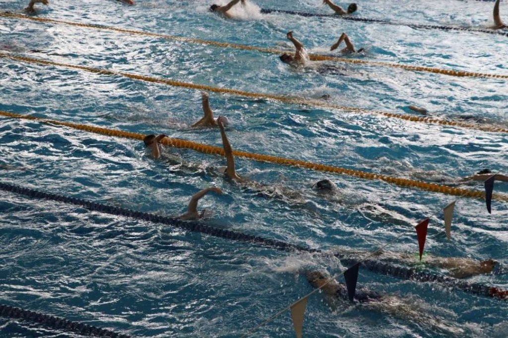    Фото :А. Лемин Остап Мусаев