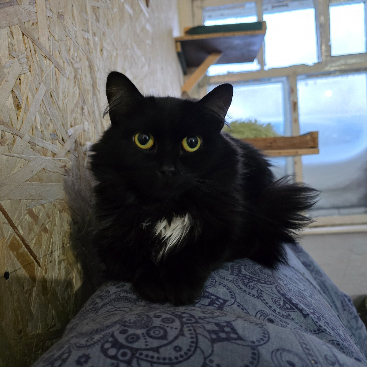  глаза полные тайн и страхов