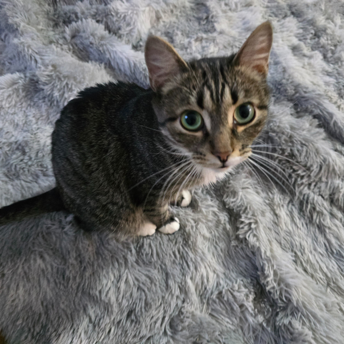 глаза полные надежды