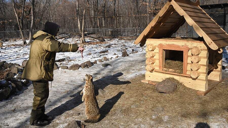    Фото: РИА Новости/Виталий Аньков