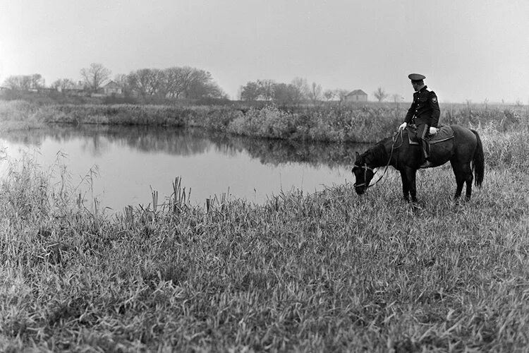 Взято из открытых источников интернета Яндекс.