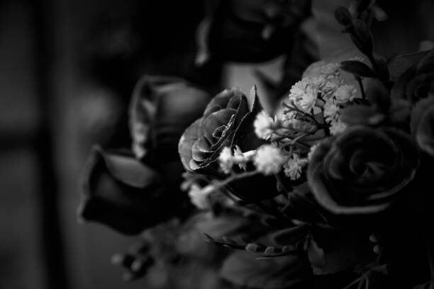 Изображение взято из открытых источников интернета. 