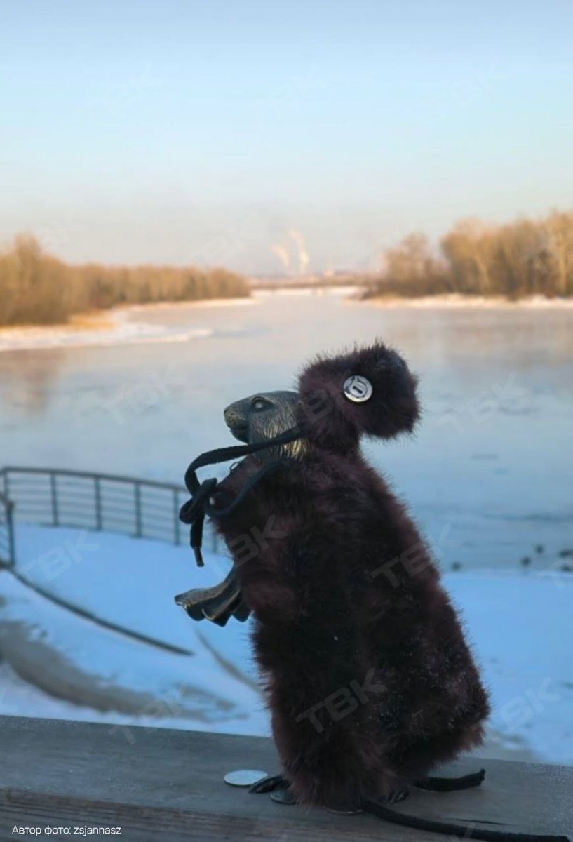 В Красноярске в разных местах отдыха установлены бронзовые фигурки сусликов. И регулярно красноярцы им шьют разную одежду