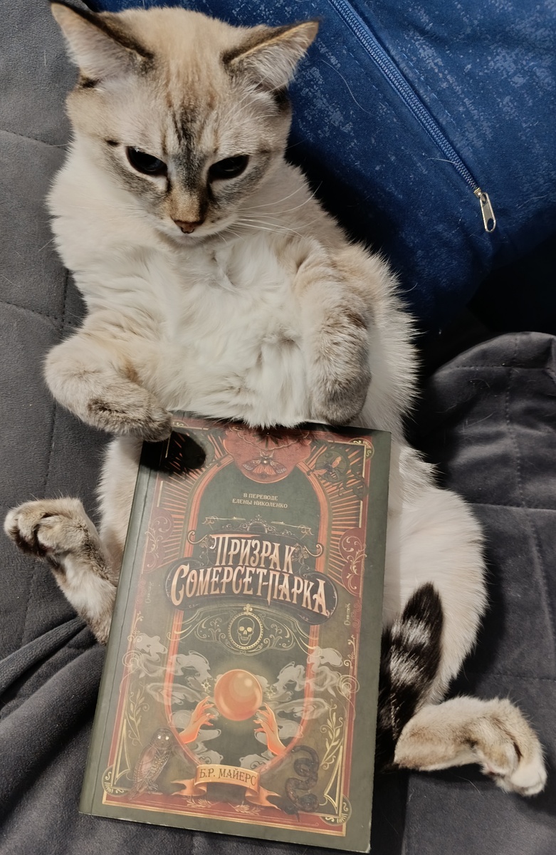 Читаемую книгу сегодня представляет Дженька. 