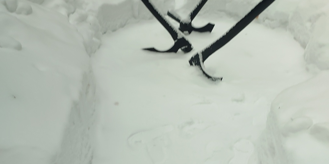 Ядовитое общение - яд в тело, в путь, в судьбу...