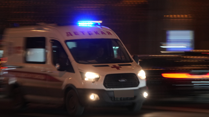    Фото: ИЗВЕСТИЯ/Дмитрий Коротаев