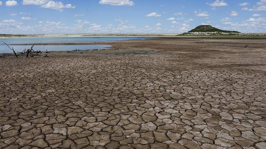    Фото: REUTERS/Daniel Becerril