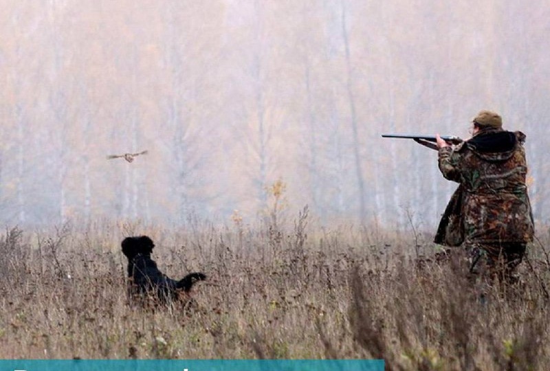 📌 Напоминаем об окончании сроков охоты на косулю сибирскую и лося