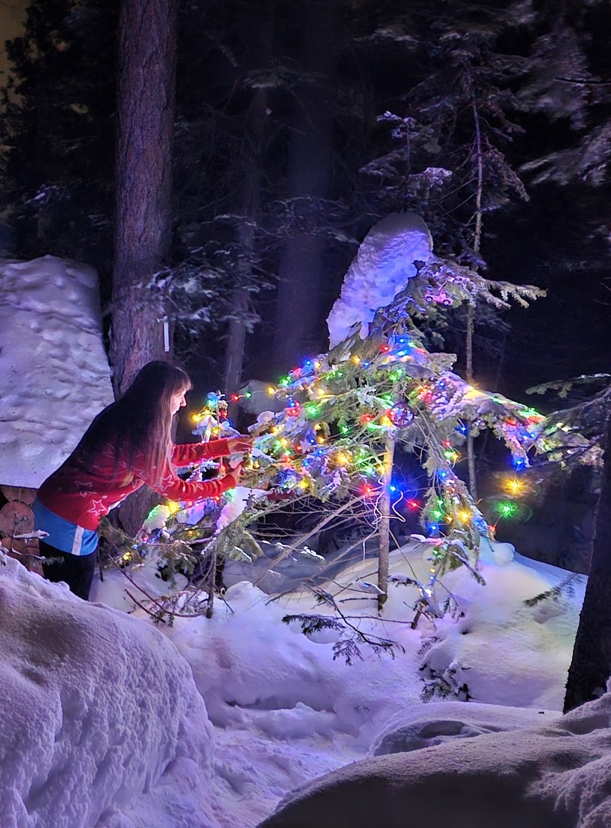 Наряжаю живую пихту.