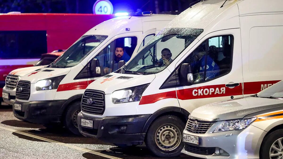    Фото: vm.ru Мария Михайлова