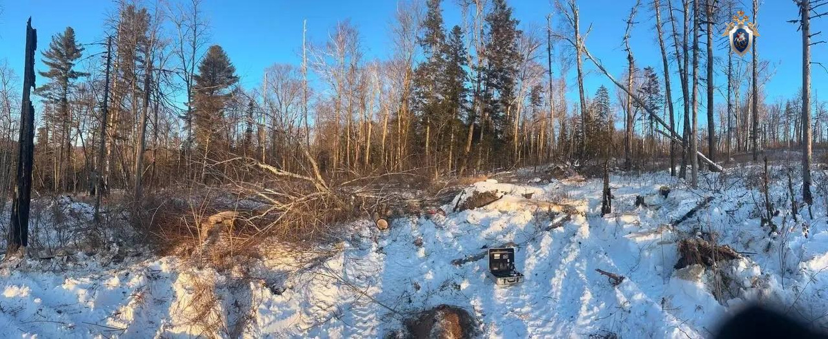     СУ СК России по Хабаровскому краю