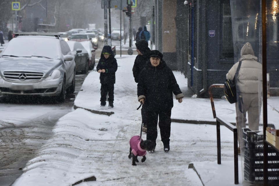    По области местами пройдет снег. Дмитрий КУТЕПОВ