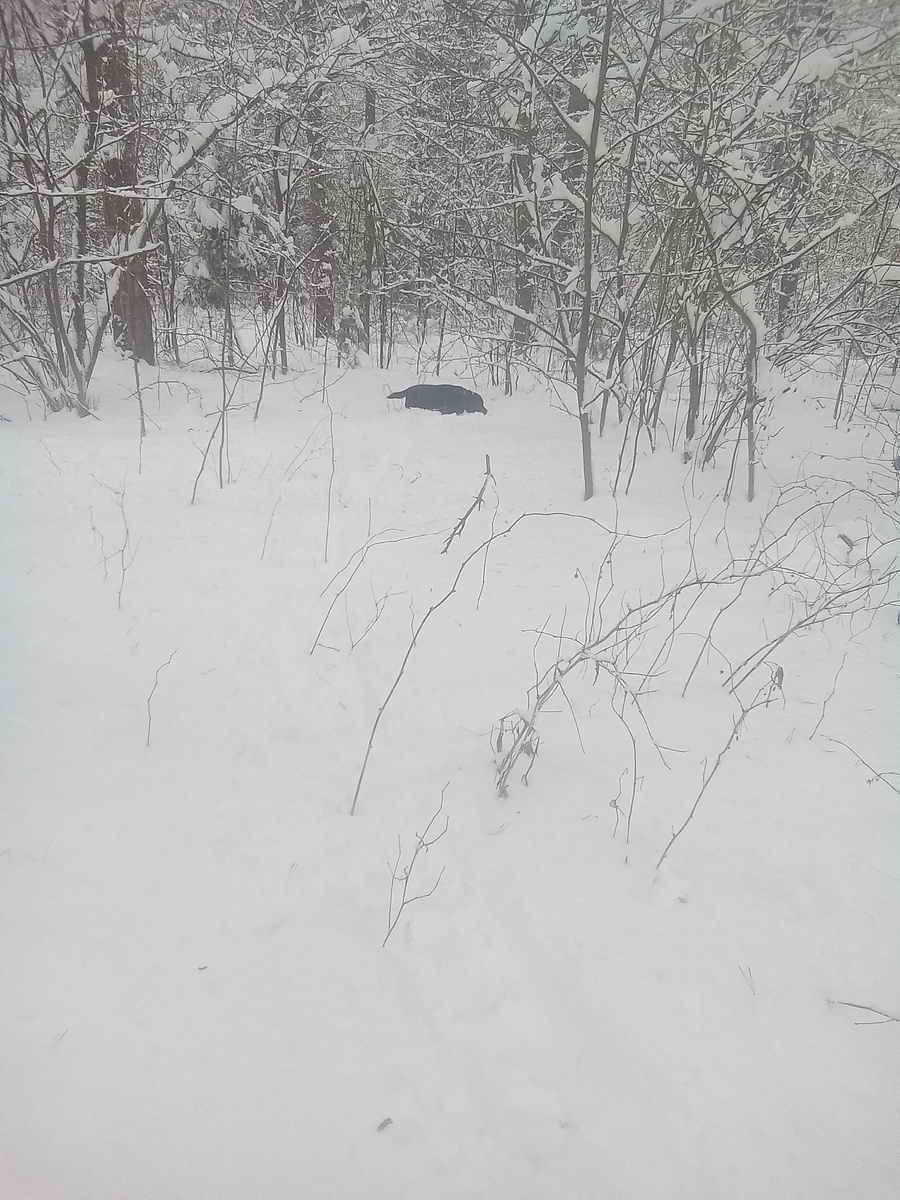 Фото автора. 