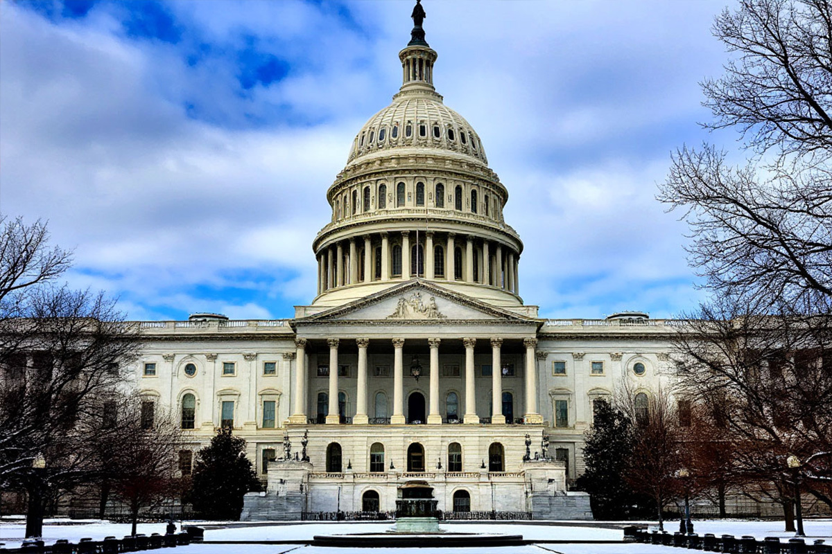    Фото: коллаж RuNews24.ru