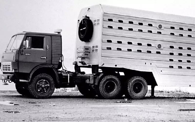 Полуприцеп‑скотовоз ОдАЗ‑9979📷
