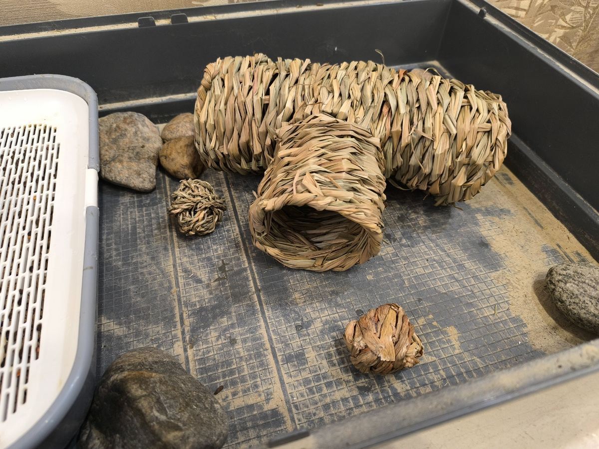 (© Анна, «Маяк энерджайзера»)