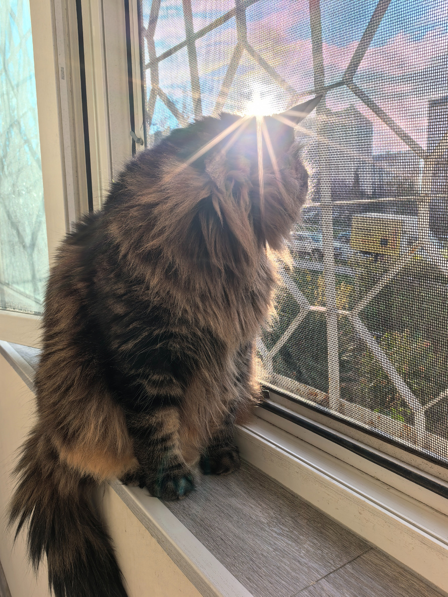 Забавная фотка вышла.